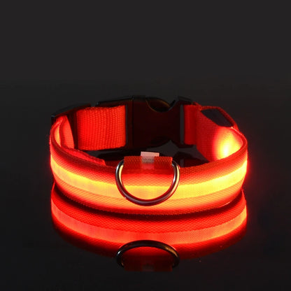 GlowSafe™ Nighttime Dog Leash & Collar