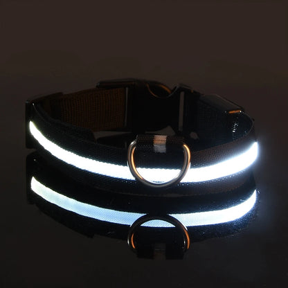 GlowSafe™ Nighttime Dog Leash & Collar