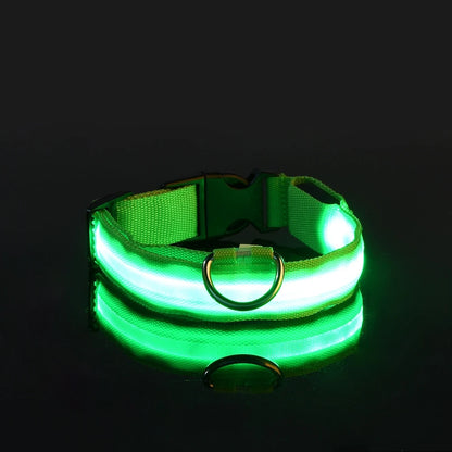 GlowSafe™ Nighttime Dog Leash & Collar
