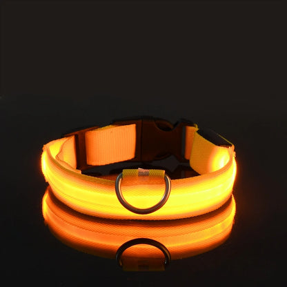 GlowSafe™ Nighttime Dog Leash & Collar