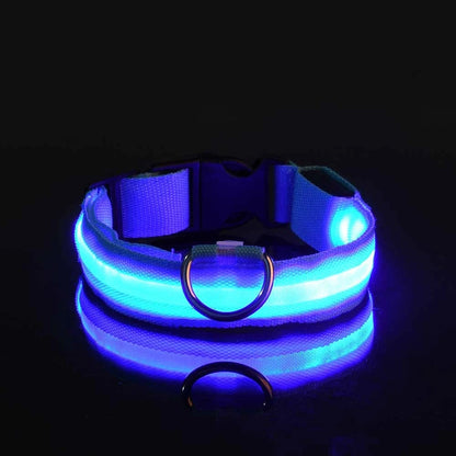 GlowSafe™ Nighttime Dog Leash & Collar