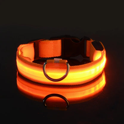 GlowSafe™ Nighttime Dog Leash & Collar