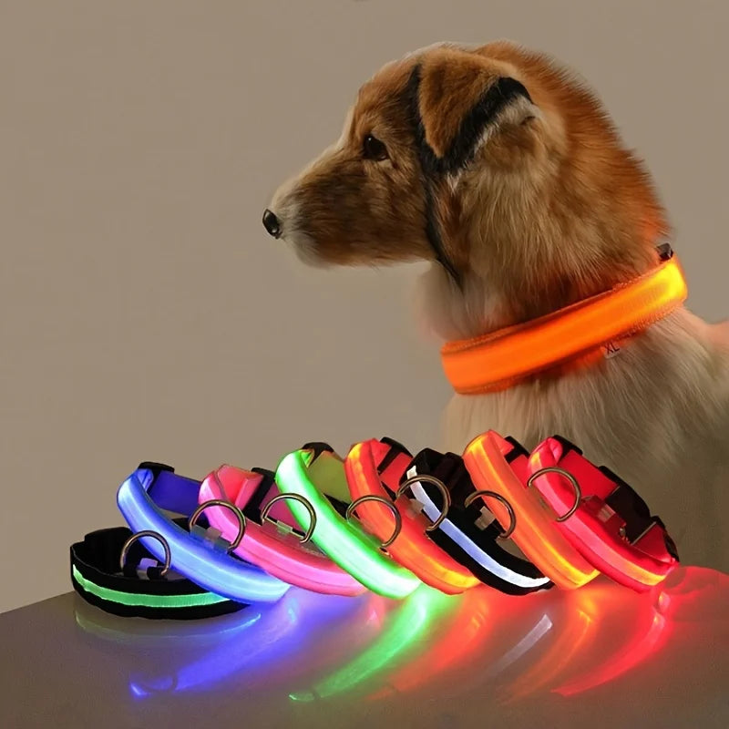 GlowSafe™ Nighttime Dog Leash & Collar