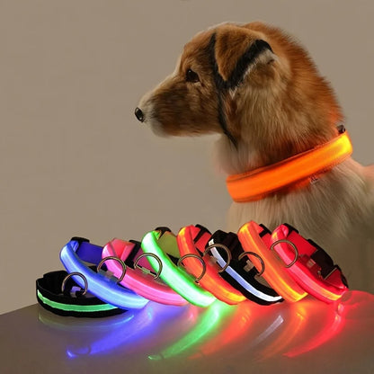 GlowSafe™ Nighttime Dog Leash & Collar
