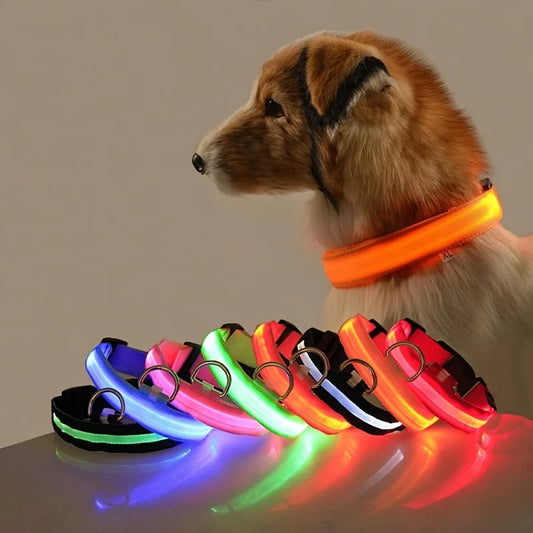 GlowSafe™ Nighttime Dog Leash & Collar