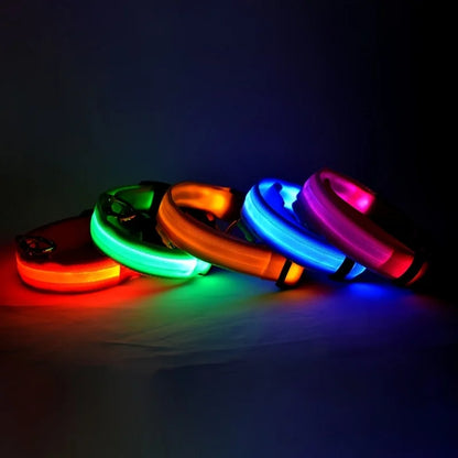 GlowSafe™ Nighttime Dog Leash & Collar