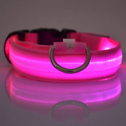 GlowSafe™ Nighttime Dog Leash & Collar