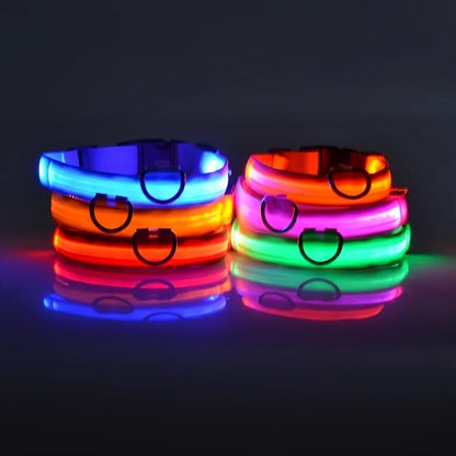 GlowSafe™ Nighttime Dog Leash & Collar