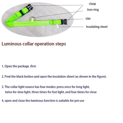 GlowSafe™ Nighttime Dog Leash & Collar