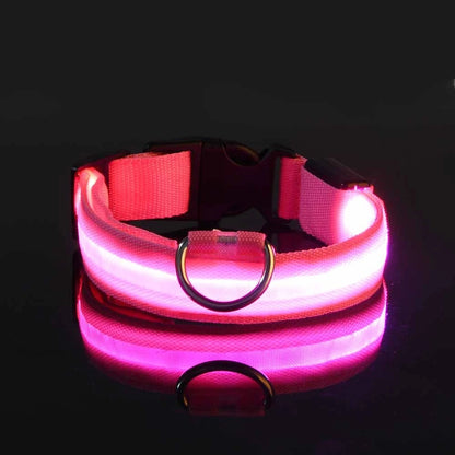 GlowSafe™ Nighttime Dog Leash & Collar